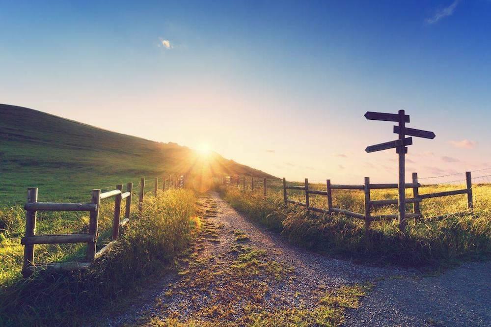 Sunrise over grassy hill and gravel path