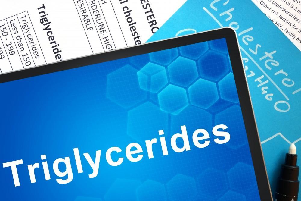 Triglycerides and cholesterol health report