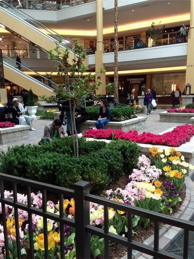 People relaxing by indoor flower beds